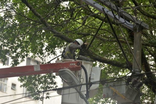 Funcionário da EDP consertando rede elétrica no Parque Moscoso, em Vitória