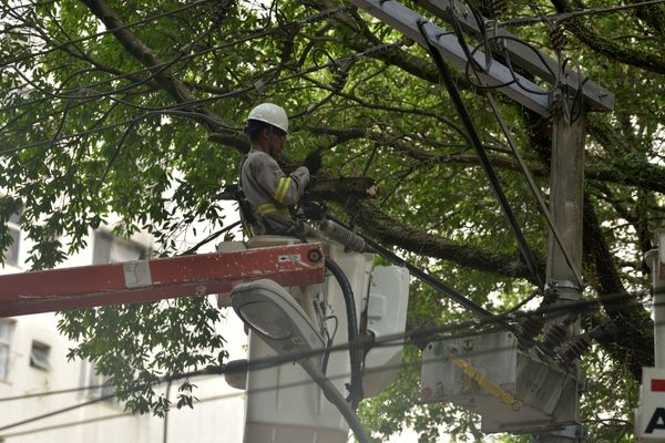 Funcionário da EDP consertando rede elétrica no Parque Moscoso, em Vitória