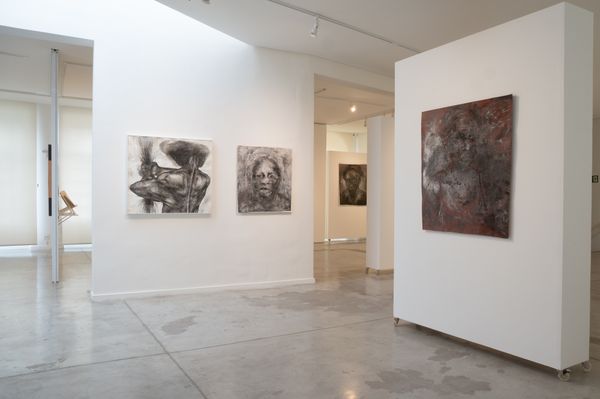 Exposição ANTICORPOS no MAES