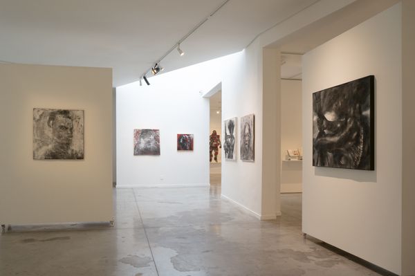 Exposição ANTICORPOS no MAES
