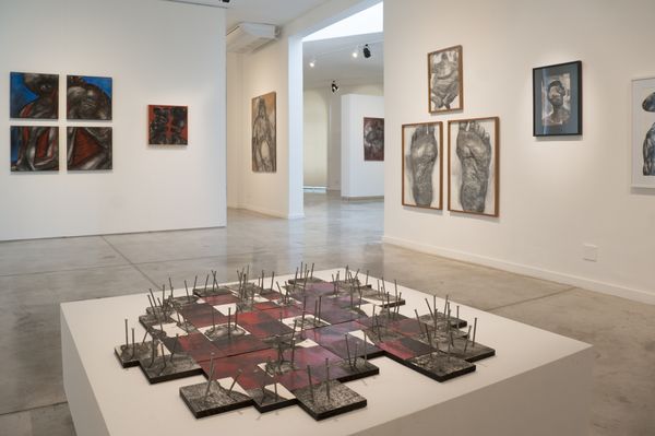 Exposição ANTICORPOS no MAES