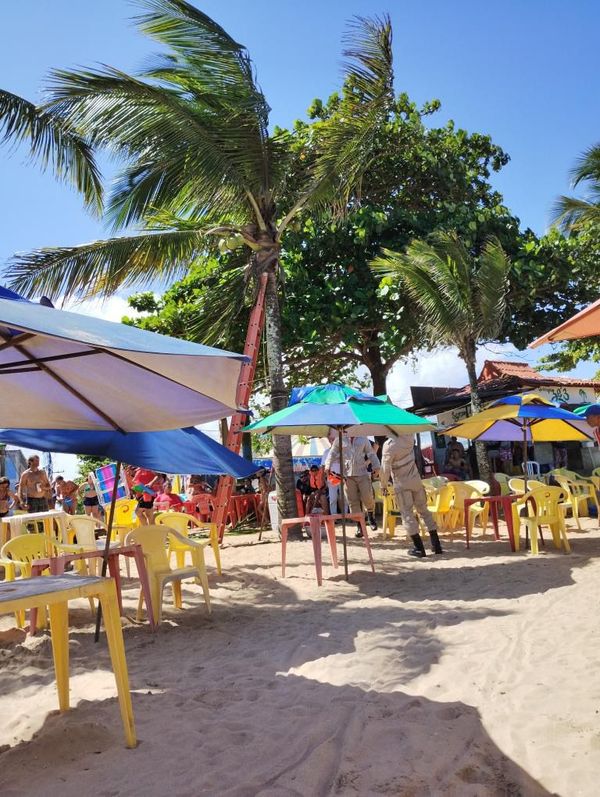 Tamanduá aparece em coqueiro na praia de Piúma e chama a atenção por Arthur Orlando