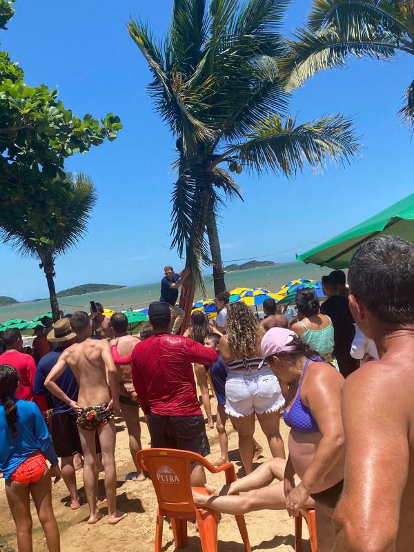 Tamanduá aparece em coqueiro na praia de Piúma e chama a atenção por Arthur Orlando