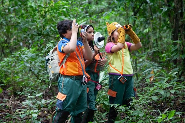 Série infantil capixaba "OOPA! Olha O Passarinho"  propõe reconexão das crianças com a natureza por Lucas Aboudib