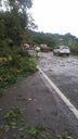  Vendaval derruba árvores e causa engarrafamento com mais de 6 km em Rio Novo do Sul(Divulgação \ PRF)