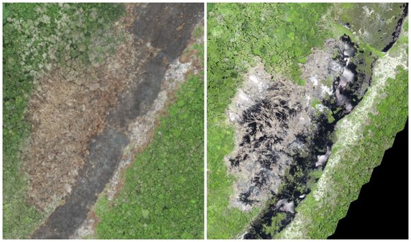 À esquerda, a imagem do parque logo após o acidente. À direita, uma foto atual, com maior presença de água (cor preta) e árvores (cor verde)