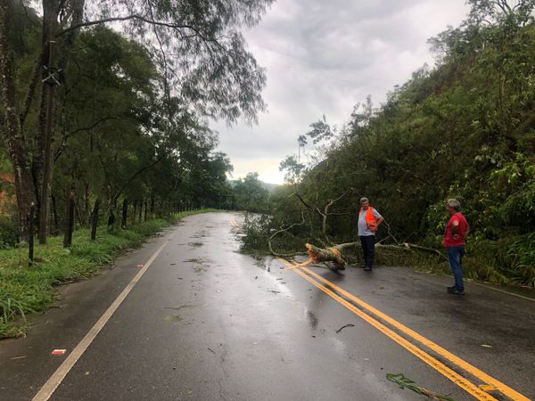 A Defesa Civil e a prefeitura realizaram a limpeza das quedas de árvores na ES 164, em Vargem Alta  por Divulgação \ Defesa Civil