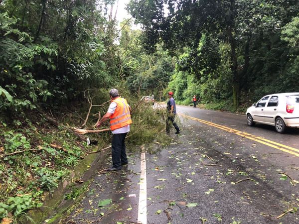 A Defesa Civil e a prefeitura realizaram a limpeza das quedas de árvores na ES 164, em Vargem Alta  por Divulgação \ Defesa Civil