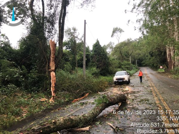 A Defesa Civil e a prefeitura realizaram a limpeza das quedas de árvores na ES 164, em Vargem Alta  por Divulgação \ Defesa Civil