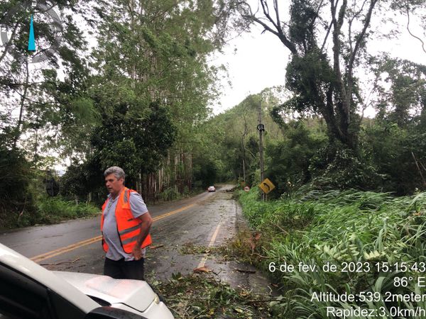 A Defesa Civil e a prefeitura realizaram a limpeza das quedas de árvores na ES 164, em Vargem Alta  por Divulgação \ Defesa Civil
