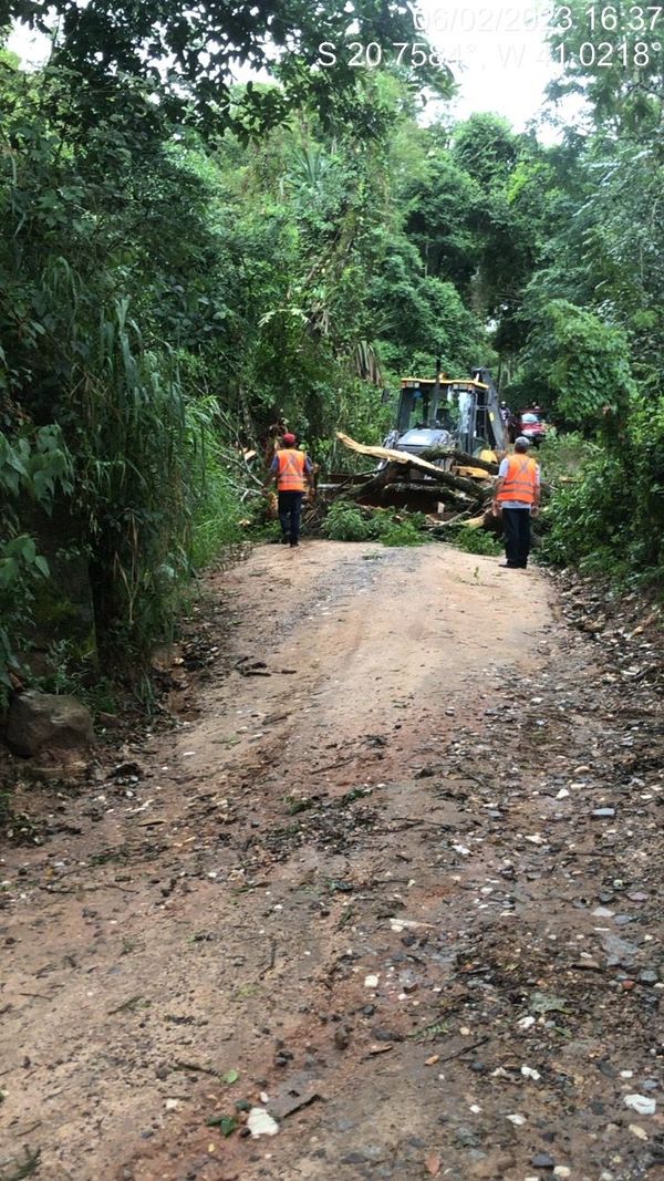 A Defesa Civil e a prefeitura realizaram a limpeza das quedas de árvores na ES 164, em Vargem Alta  por Divulgação \ Defesa Civil