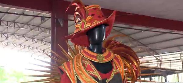 Uma das fantasias que estarão na avenida