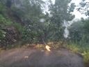 Chuva derruba árvores, muro e destelha casas no Sul do ES(Divulgação \ Defesa Civil)