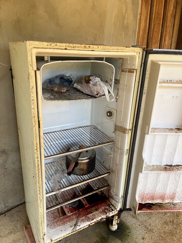 Abatedouro clandestino vendia carne de cavalo como se fosse de boi em Viana por Divulgação | Prefeitura de Viana