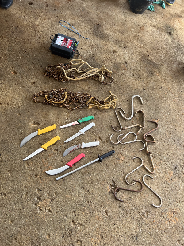 Abatedouro clandestino vendia carne de cavalo como se fosse de boi em Viana por Divulgação | Prefeitura de Viana