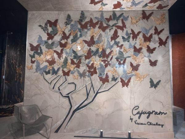As borboletas foi o símbolo da coleção Cajugram assinado por Rômulo Pegoretti e Vivian Chiabay