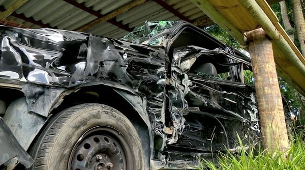 Segundo a veterinária, carro não tem mais como ser reparado