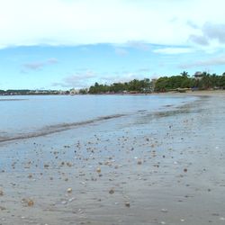 Vítima foi encontrada ferida pela Polícia Militar no bairro Monte Aghá; caso será investigado pela Polícia Civil