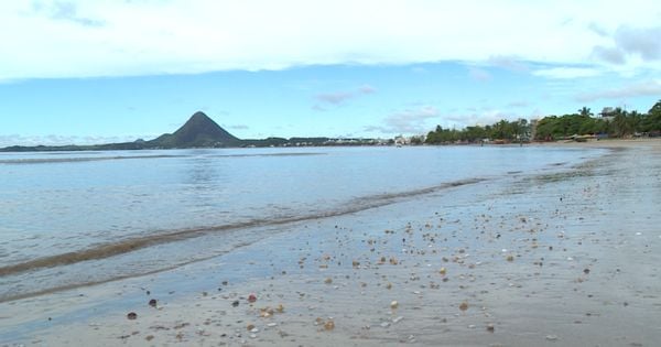 Segundo o Corpo de Bombeiros, a vítima, junto de uma mulher, tentava atravessar a pé pelos bancos de areia da praia até a Ilha do Gambá, quando uma onda separou os dois