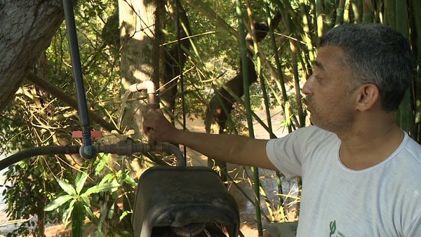 Comunidade no ES ainda consome água diretamente do rio