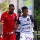 Imagem - 6ª rodada do Capixabão chega com tudo! Confira os destaques