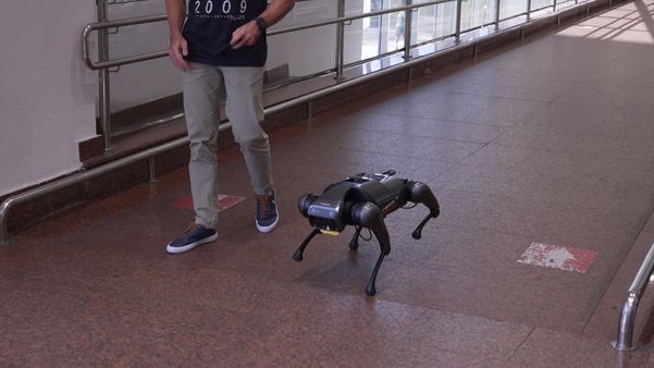 Cão robô da Xiaomi chama atenção nas ruas de Vitória
