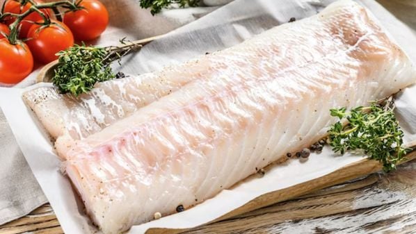 CBN Vitória - oeziuk5