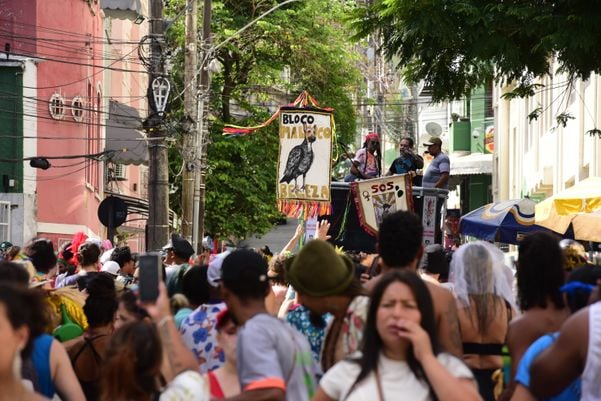 Bloco Maluco Beleza por Carlos Alberto Silva