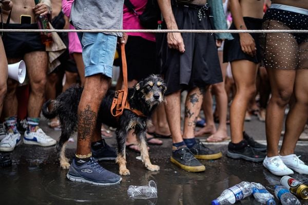 Bloco Regional da Nair desfila pela avenida Beira-Mar no Centro de Vitória por Vitor Jubini