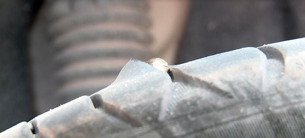 Bloco de carnaval é interrompido por tiroteio em Cariacica