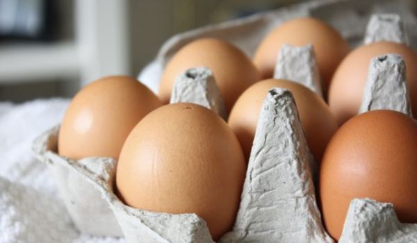 Ovos, produção, avicultura
