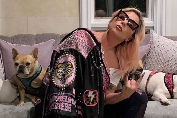 Lady Gaga ofereceu recompensa a quem devolvesse seus cães, em 2021