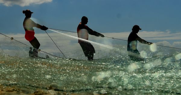 Redes modernas diminuem chance de captura de animais fora do alvo. Setor inova também na produção de pescado em tanques de ambiente controlado