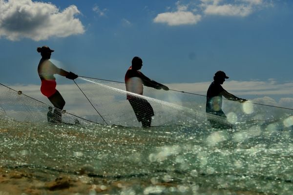 Puxada de rede na Praia de Itapuã, Vila Velha