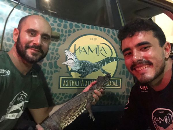 Jacaré aparece em fórum na Serra