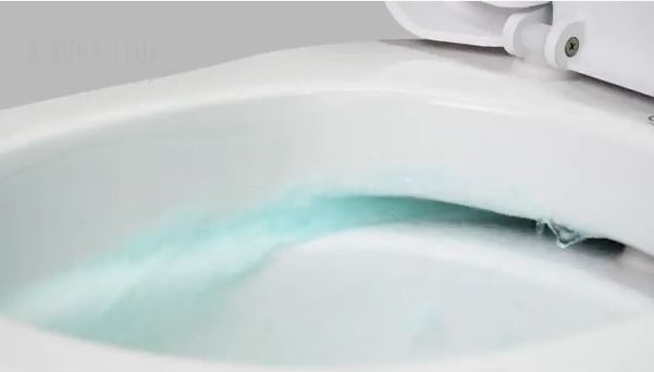 O desenho interno da bacia sanitária permite que a água flua por toda a estrutura, garantindo a lavagem total da parede interna do produto 
