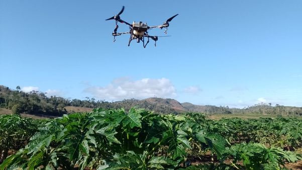 Drone pulveriza lavoura de café em Marechal Floriano