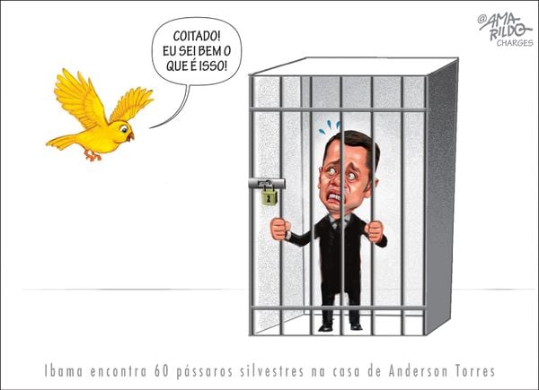 Passarinho na gaiola