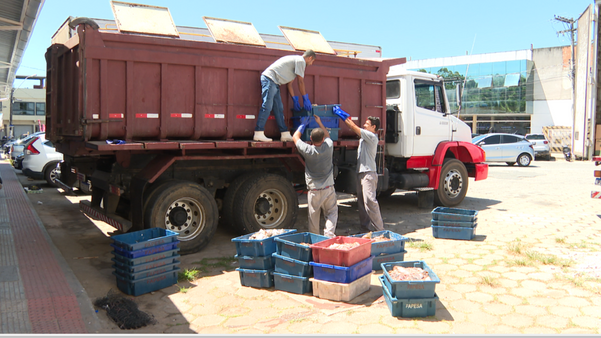 Projeto de Piúma coleta restos de pescado e transforma em ração animal