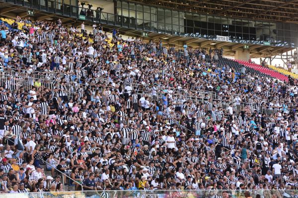 Veja festa da torcida do Botafogo no ES