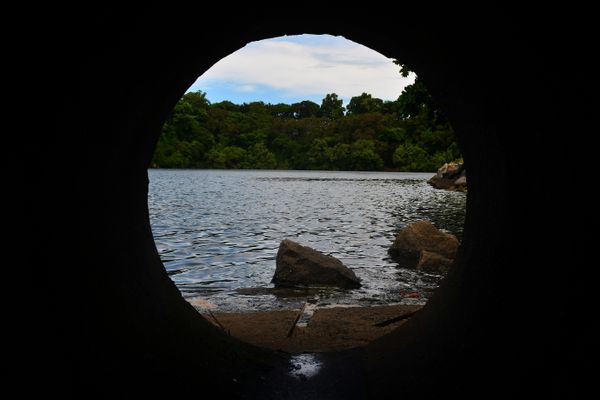 Peixes aparecem mortos no Canal de Camburi por Fernando Madeira