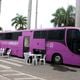 Imagem - Ônibus Rosa está em Vila Velha para atender mulheres vítimas de violência
