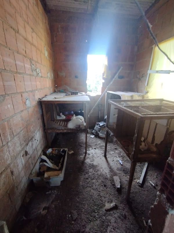 Animais são flagrados em situação de maus-tratos em Itapemirim por Divulgação \ Prefeitura de Itapemirim