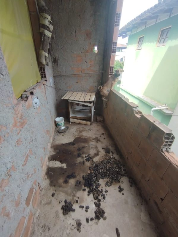 Animais são flagrados em situação de maus-tratos em Itapemirim por Divulgação \ Prefeitura de Itapemirim