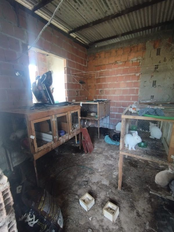 Animais são flagrados em situação de maus-tratos em Itapemirim por Divulgação \ Prefeitura de Itapemirim