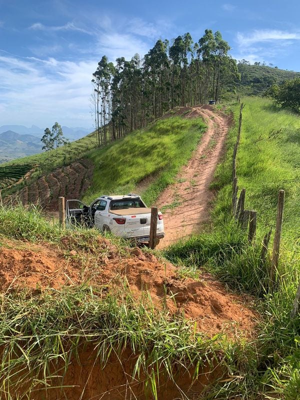 Onça pintada é flagrada no interior de Mimoso do Sul por Lucas Pereira Lopes 