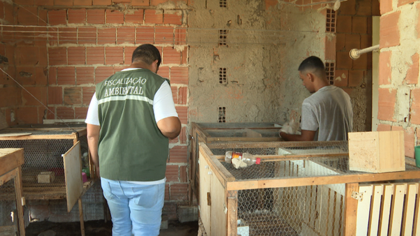 Dono de animais flagrados em situação de maus-tratos em Itapemirim é identificado