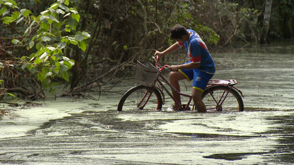Há quatro meses cerca de 20 famílias moradoras da região de Canto Grande, no bairro Farias, em Linhares, continuam totalmente ilhadas