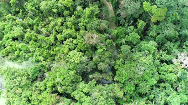 Há quatro meses cerca de 20 famílias moradoras da região de Canto Grande, no bairro Farias, em Linhares, continuam totalmente ilhadas