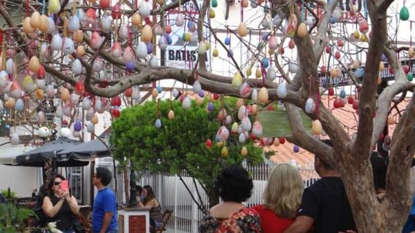 Páscoa em Domingos Martins: a Osterbaum, árvore típica alemã decorada com casquinhas de ovos